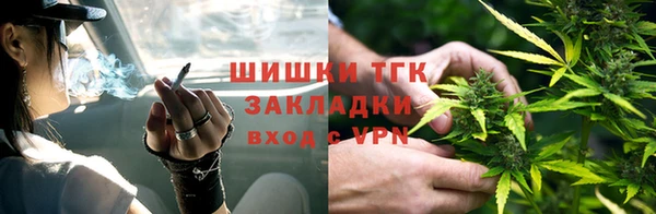 индика Белокуриха