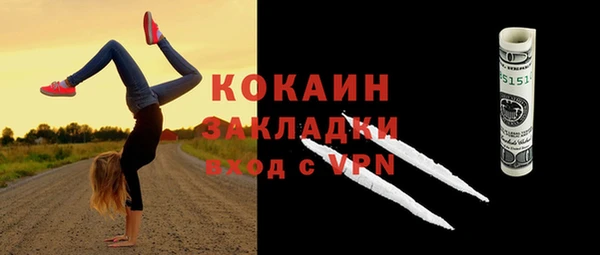 индика Белокуриха