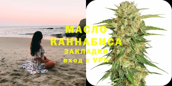 индика Белокуриха